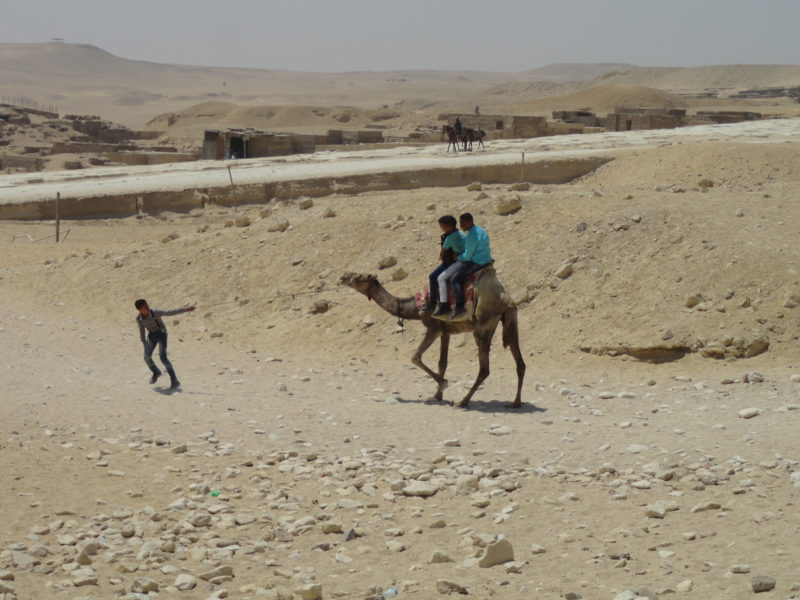 Man pulling camel by rope