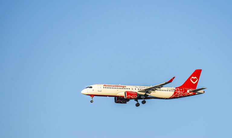 Animawings Airbus A220