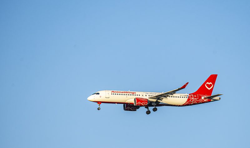 Animawings Airbus A220