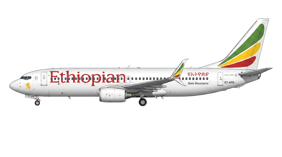 Ethiopian Airlines Boeing 737 NG livery
