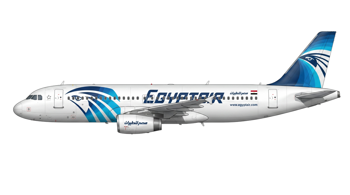 EgyptAir Airbus A318/A319/A32 livery