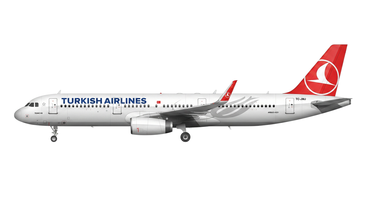 Turkish Airlines Airbus A318/A319/A32 livery