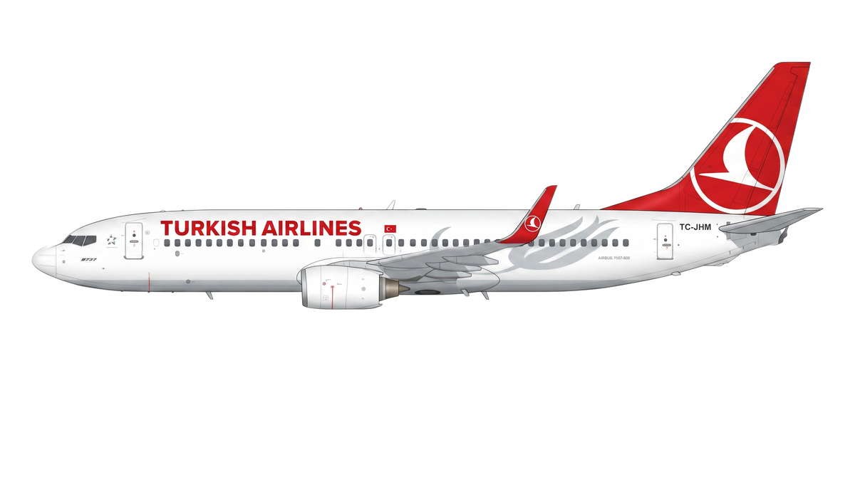 Turkish Airlines Boeing 737 NG livery