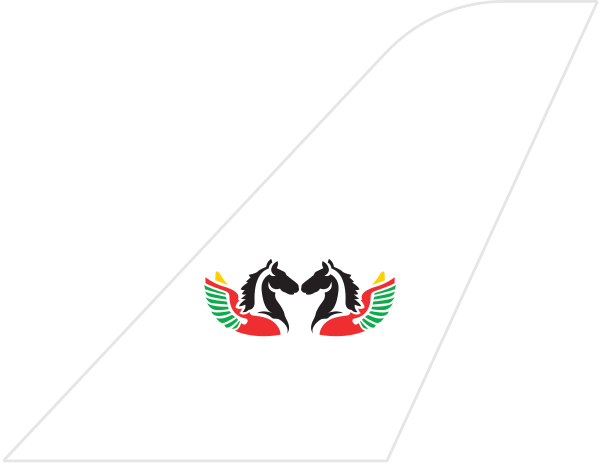 Air Burkina tail