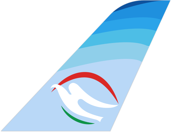 OJSC "Tajik Air" tail