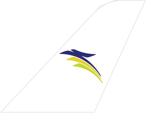 PT. Transnusa Aviation Mandiri tail