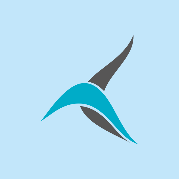 Southern Airways Express, LLC