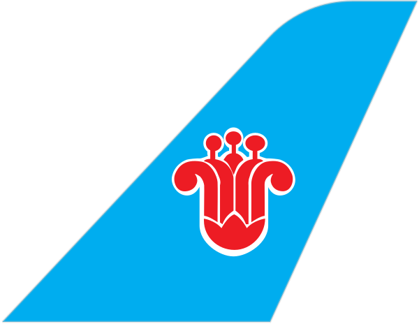 China Southern Airlines tail