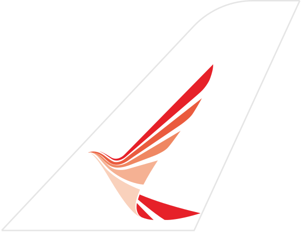 Ruili Airlines tail