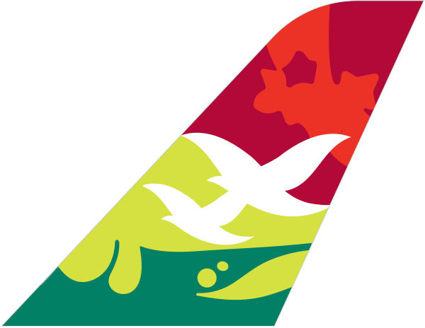 Air Seychelles tail