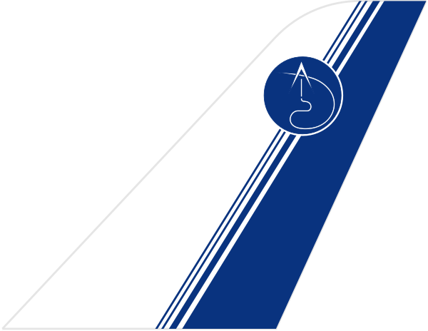 IRS Airlines tail
