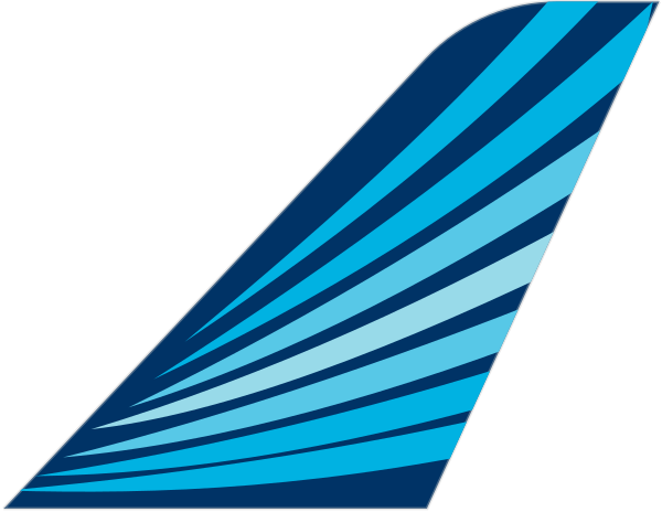 Azerbaijan Airlines tail