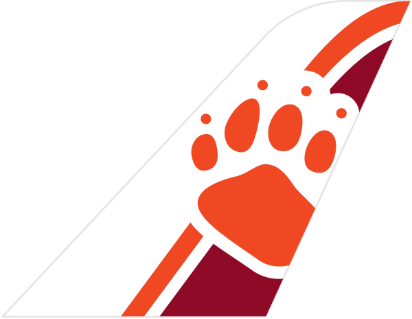 Bearskin Lake air services LP tail