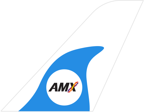 Amakusa Airlines Co.,Ltd tail
