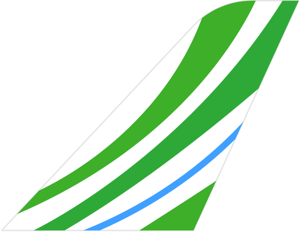 Binter Canarias tail