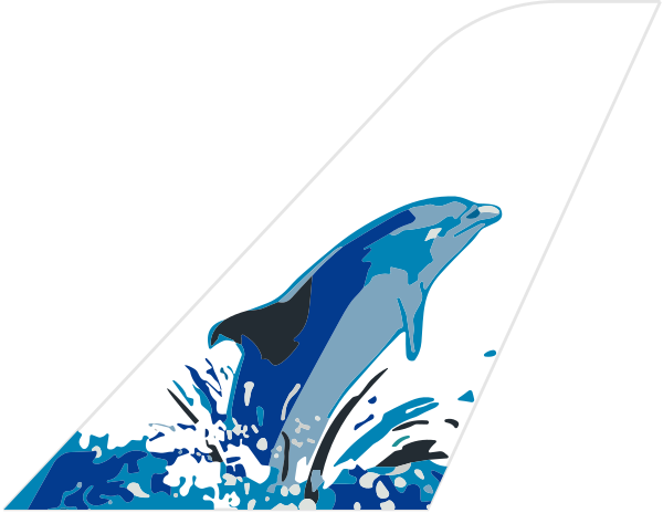 Island Aviation Services Ltd. tail