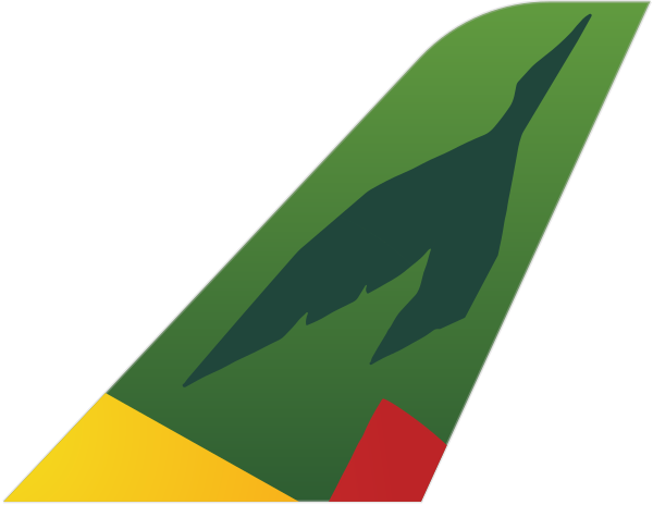 Camair-Co tail