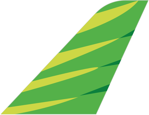 Citilink tail