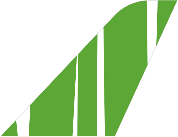 Bamboo Airways tail