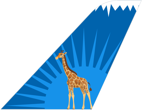 Air Tanzania tail