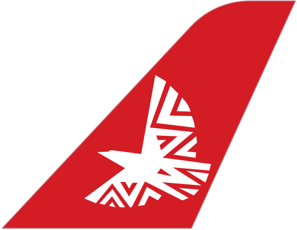 LAM Mozambique Airlines tail