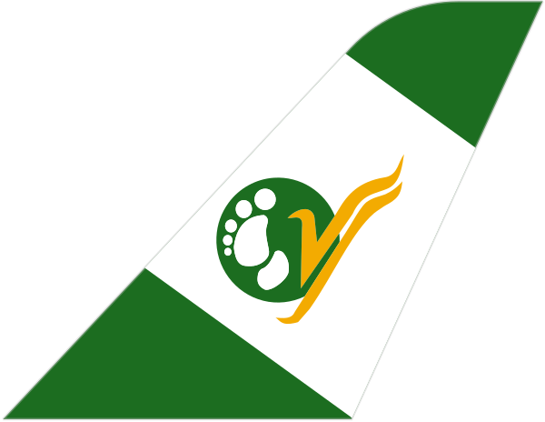 Yeti Airlines tail